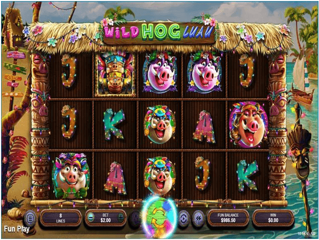 About Wild Hog Luau slot