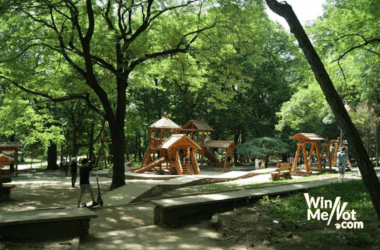 Amazing Park Resorts to Stay