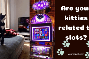 Are your kitties related to slots