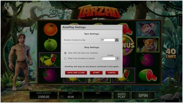 Auto play Feature in Slot Games - Spin Settings