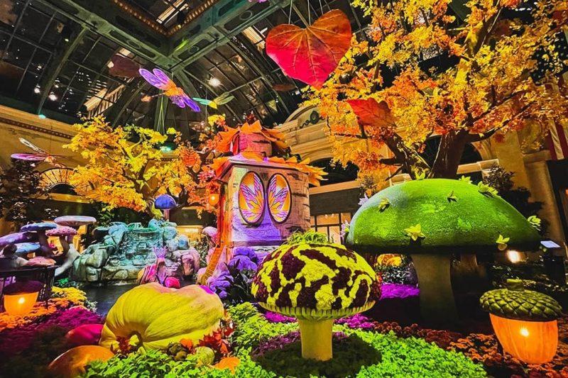 10 Must-See Attractions In Las Vegas Bellagio Conservatory