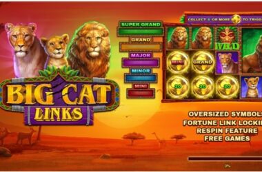 Big Cat Links Play Now