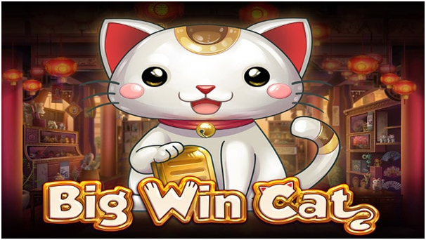 Big Win Cat Slot Game