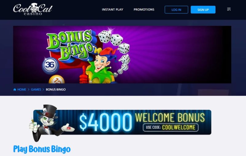 Bingo bonus at Cool Cat Casino