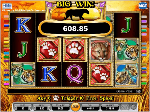 Cats slots IGT