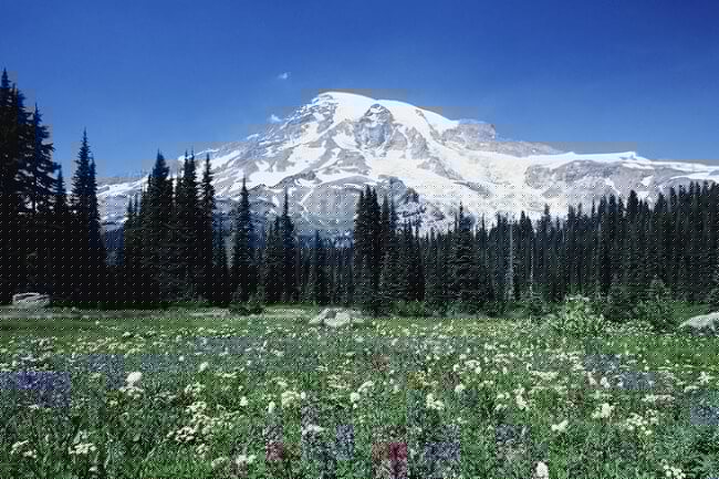 10 Things to do in Seattle this Year Climb Mount Rainier