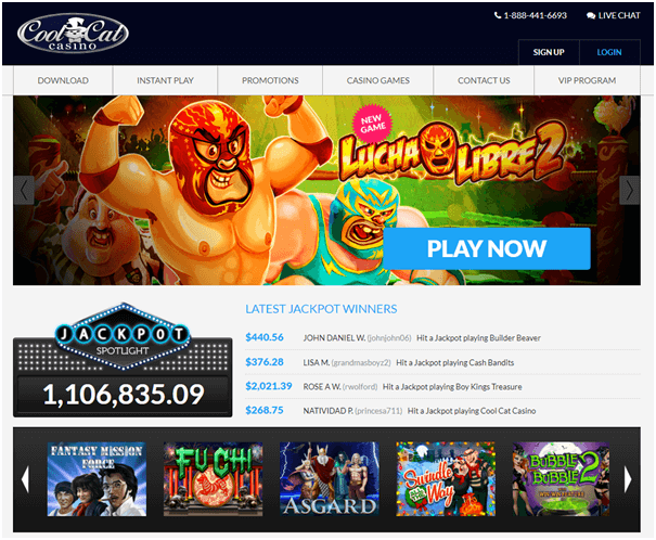 Cool Cat Casino- No deposit