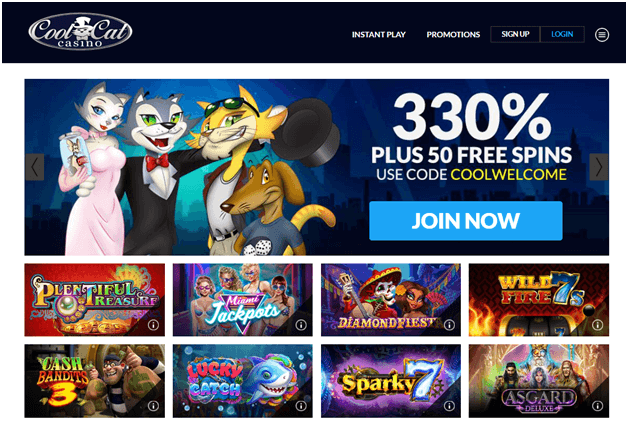 Cool Cat Litecoin Casino