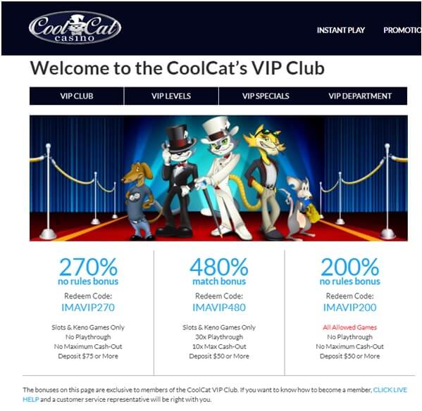 Cool Cat VIP coupons