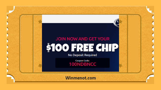 Cool Cat Coupon