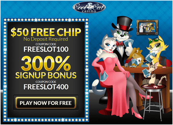 Cool cat casino cats day bonus