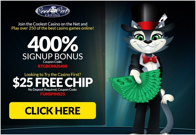 Cool cat no deposit bonus