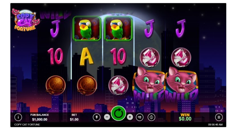 Copy cat fortune slot game symbols