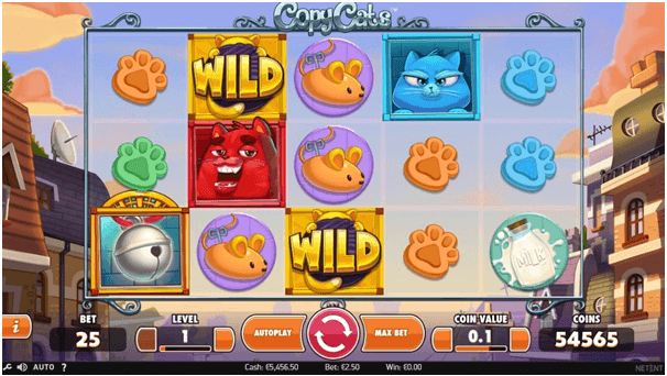 Are your kitties related to slots? Copy cats by NetEnt