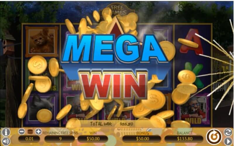 Crazy Cat lady slot - Mega wins