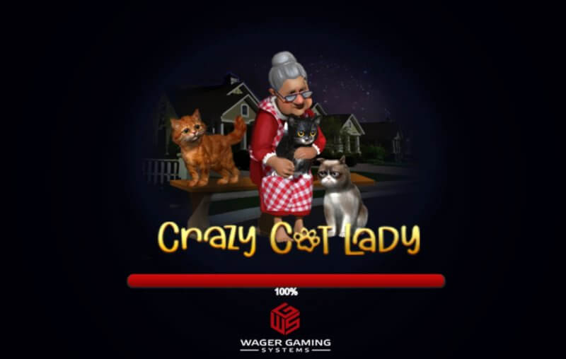 Crazy Cat lady slot game