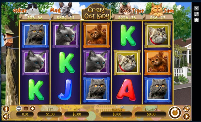 Crazy Cat lady slot game symbols