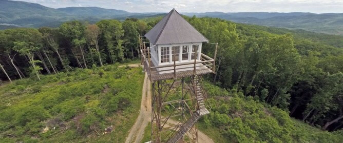 Fire Tower in the Forest