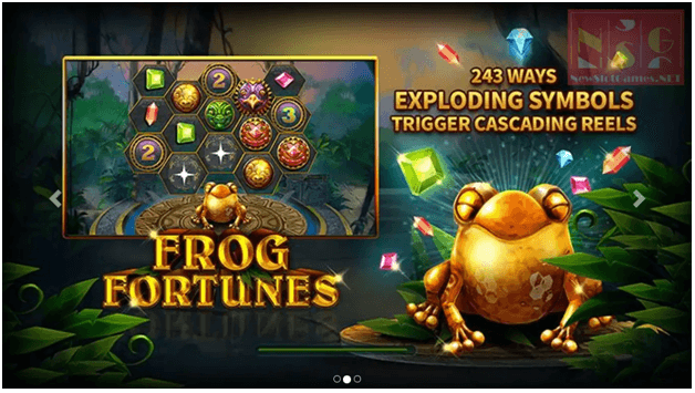 Frog Fortunes Game Features