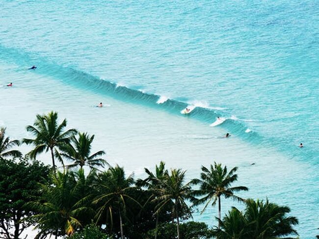 Top 7 Things to Do in Oahu Go to the North Shore