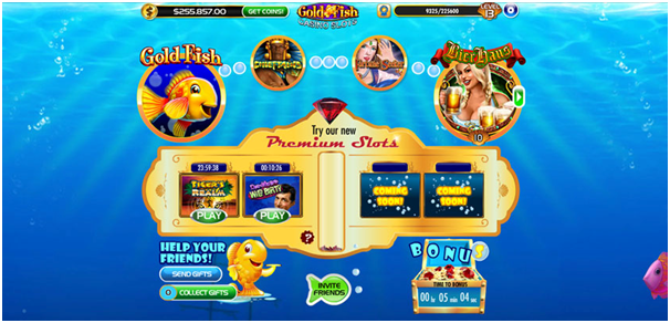 Gold Fish casino slots free play for fun online casino App features