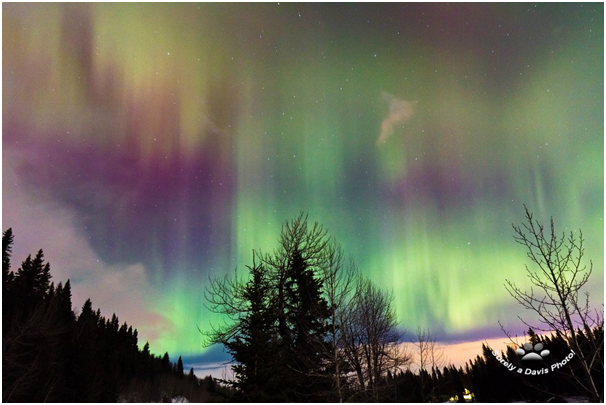 Watch Northern Lights on Valentine Day