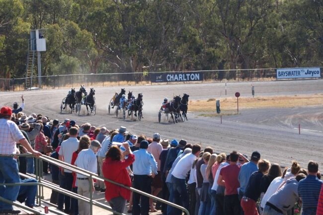 Harness Racing