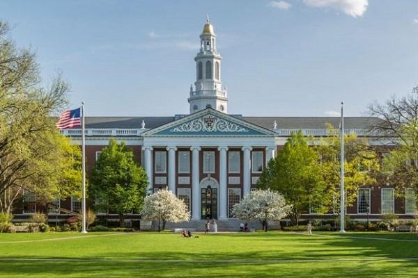 Where to Learn Poker Online and Offline? Havard University
