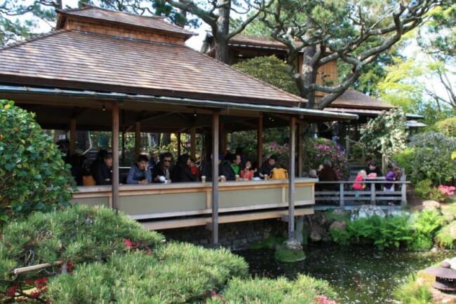 Have Tea at the Japanese Tea Garden