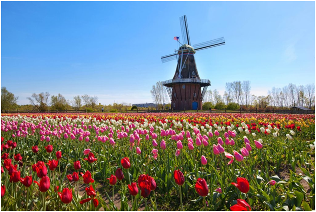 8 Most Beautiful Places To Visit This Spring Holland Michigan