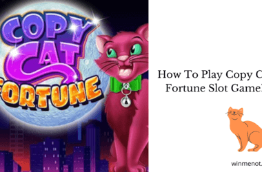 How to play Copy Cat Fortune Slot Game