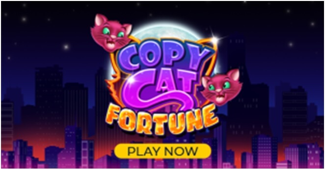 How to play Copy Cat Fortune slot