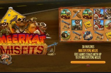 How to play Meerkat Misfits