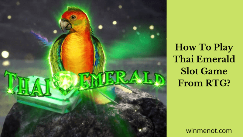 How To Play Thai Emerald Slot Game From RTG? How to play Thai Emerald Slot Game From RTG