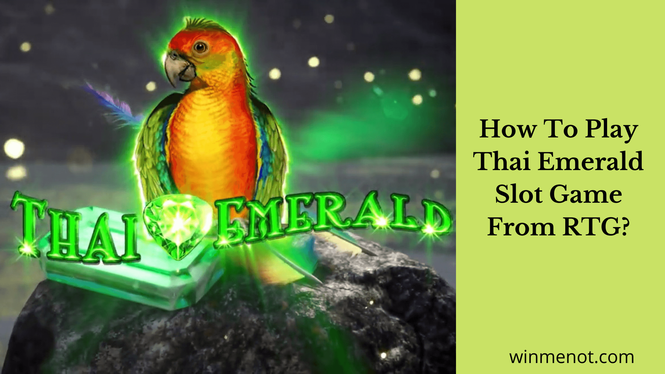 How to play Thai Emerald Slot Game From RTG