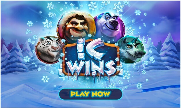 IC Wins Is Here To Have Fun While You Celebrate This Winter Season