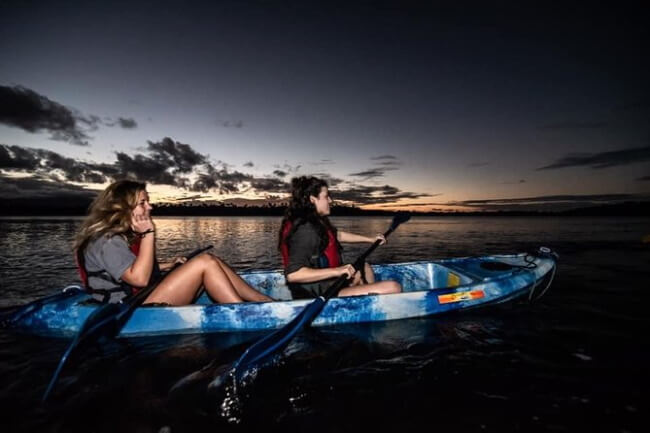 Kayak in a Bioluminescent Bay