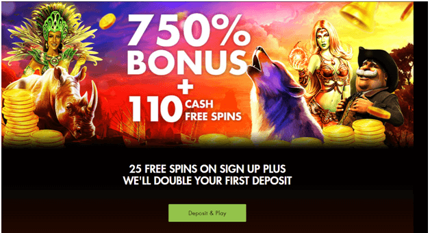Litecoin casino - Winward casino