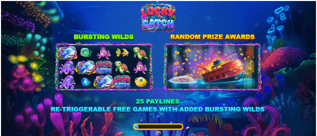 Lucky Catch slot - Game Features