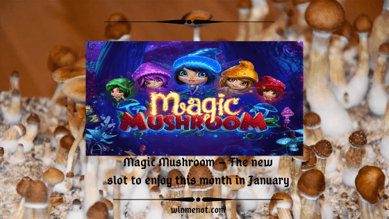 Magic Mushroom – The new slot to enjoy this month in January