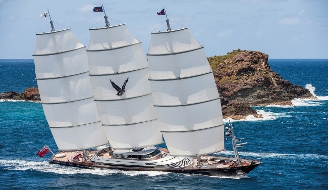 Maltese Falcon