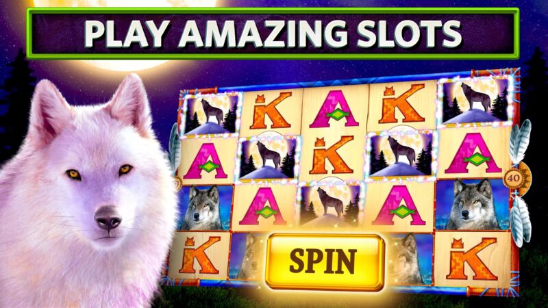 Nat Geo Slots