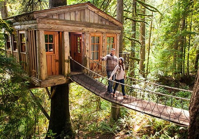Top 8 Family Vacations in America Out 'n' About Treesort (Oregon)