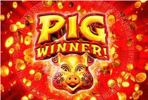 Pig Winner new slot game