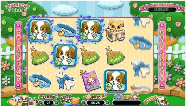 Are your kitties related to slots? Purrfect pets