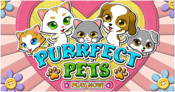 Purrfect pets
