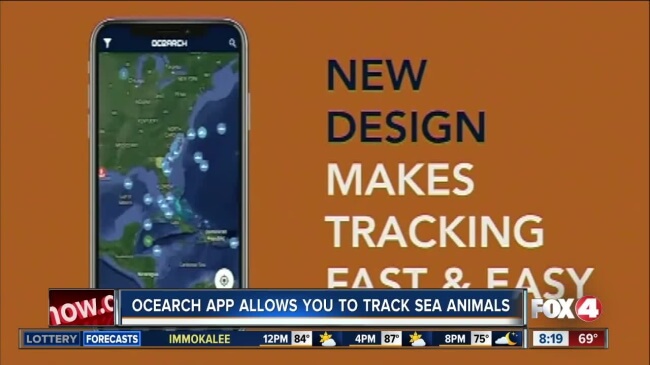 7 Niche and Weird Android Apps you Rarely use Shark Tracker by Ocearch