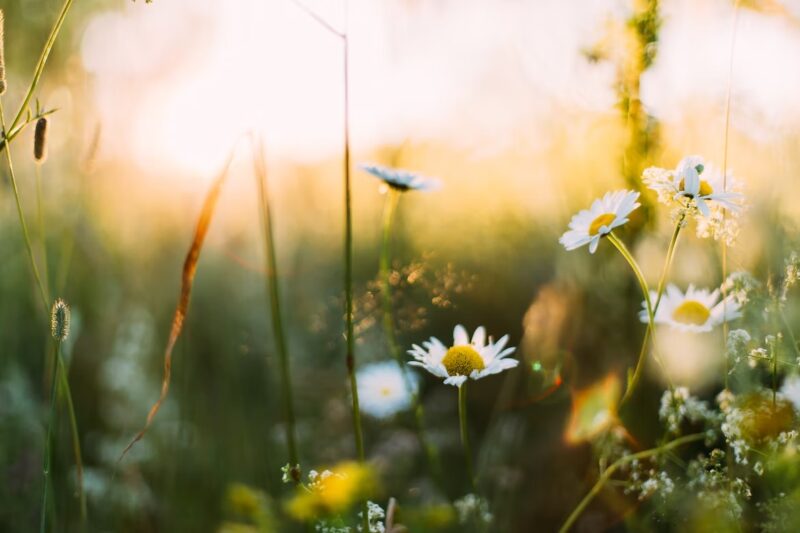 8 Most Beautiful Places To Visit This Spring Places to visit this spring