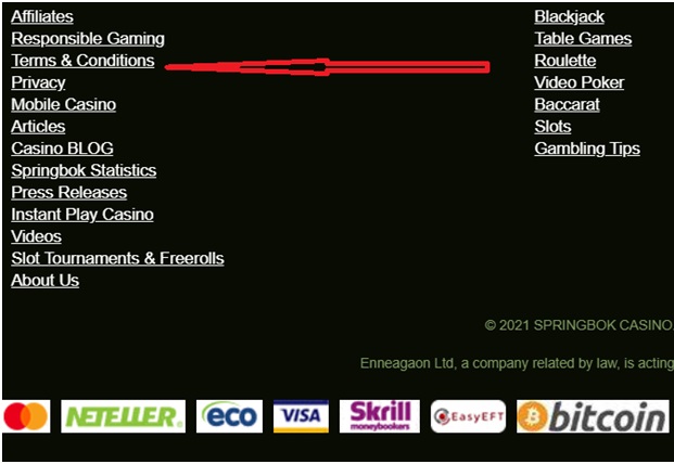 Terms and conditions for casinos