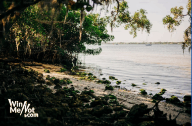 Top 10 Beaches in Florida